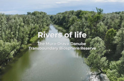 rivers_of_life_coopmdd_film.jpg