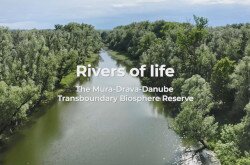 rivers_of_life_coopmdd_film.jpg