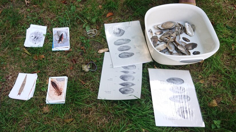 slidebg4 River’scool Mobil Természetiskola játékai