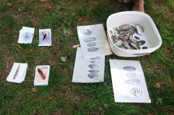 River’scool Mobil Természetiskola játékai