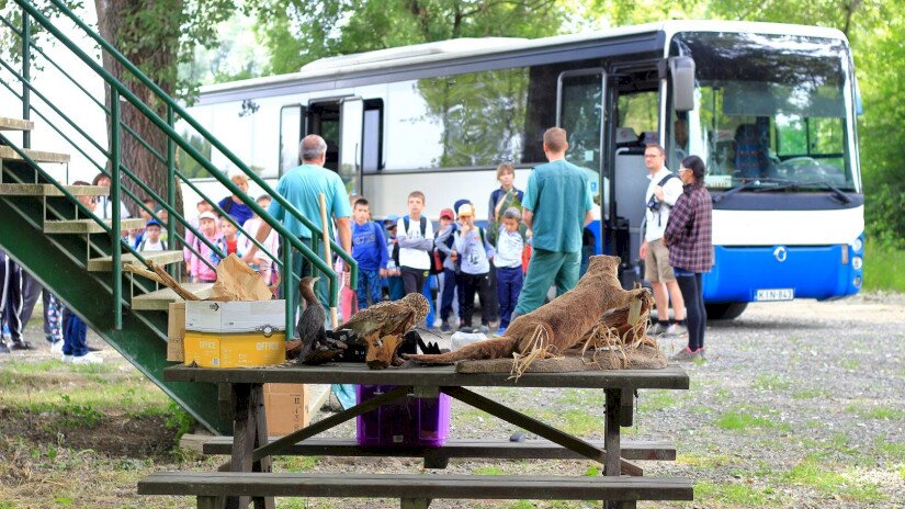 River’scool Természetiskolai Mobil program