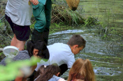 River’scool Természetiskolai Mobil program