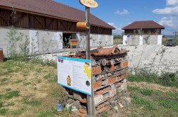 Rovarhotel és tábla a beporzásról