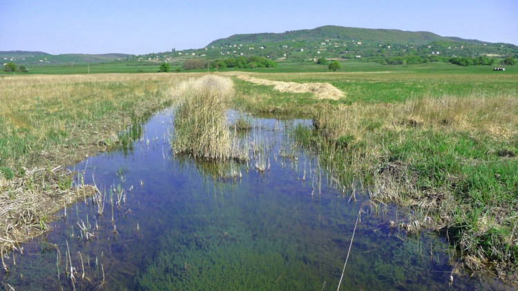Komplex vizes élőhely fejlesztés a Sásdi-rét NATURA2000 területen