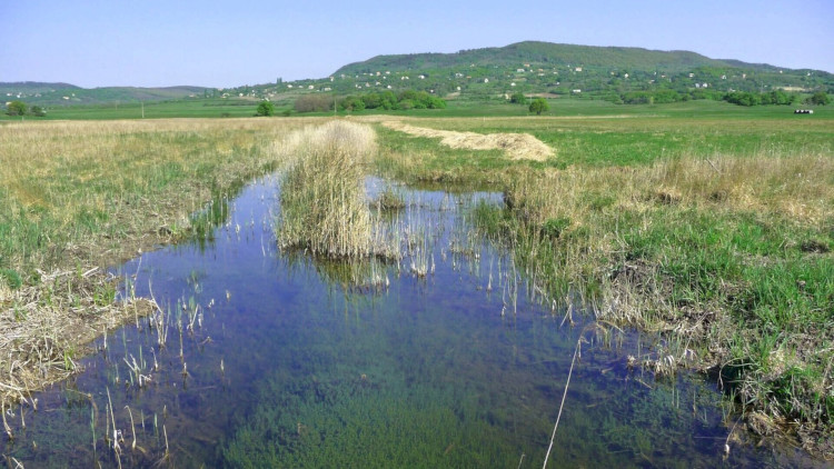 Komplex vizes élőhely fejlesztés a Sásdi-rét NATURA2000 területen