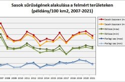 Sasok sűrűségének alakulása a felmért területeken 2007-2021