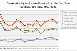 Sasok sűrűségének alakulása a felmért területeken 2007-2021