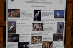 Siófok - Töreki természetvédelmi tanösvény