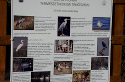 Siófok - Töreki természetvédelmi tanösvény