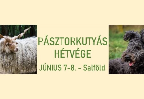 Magyar pásztorkutyák Skobrák Ferenc Emlékversenye