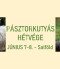 Magyar pásztorkutyák Skobrák Ferenc Emlékversenye
