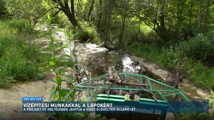 A nemzeti park igazgatóság somogyi projektjei a Kék bolygó adásában