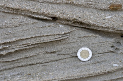 Stillgelegte Sandgrube, Várpalota