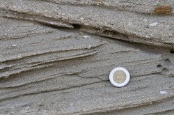 Stillgelegte Sandgrube, Várpalota