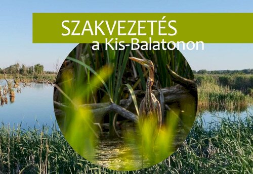 Szakvezetés a Kis-Balatonon