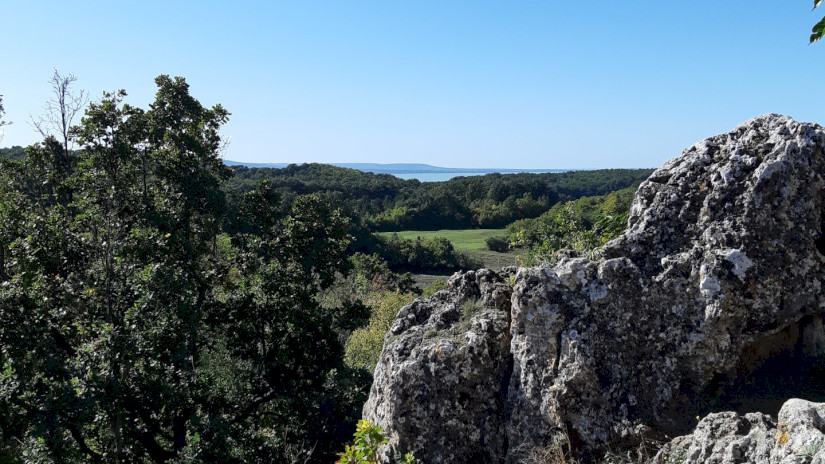 Szakvezetés a Tihanyi-félszigeten, kilátás a Balatonra