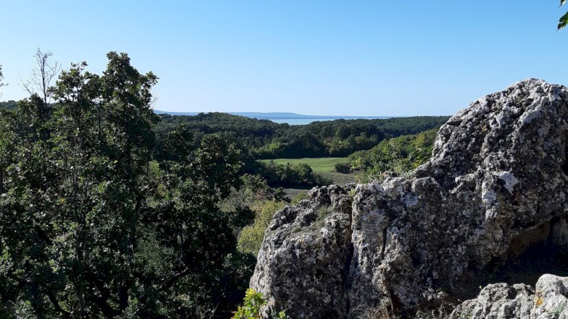 Szakvezetés a Tihanyi-félszigeten, kilátás a Balatonra