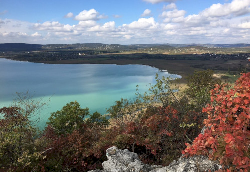 Szakvezetések