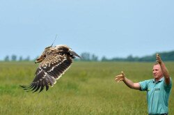 Száz éves a magyar természetőrzés