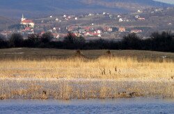 Szentbékkálla im Káli Becken