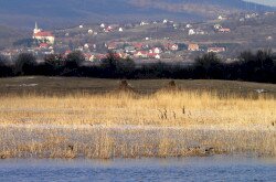 Szentbékkálla im Káli Becken