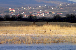 Szentbékkálla in the Káli Basin