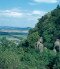 Tapolca Becken