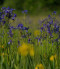 LIFE IP GRASSLAND-HU (LIFE17 IPE/HU/000018)