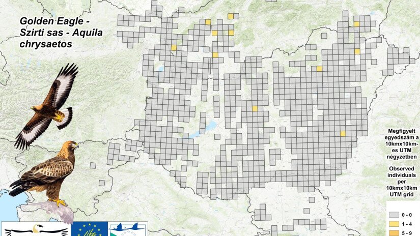 Szirti sasok megfigyelési adatai a a Pannon-régióban