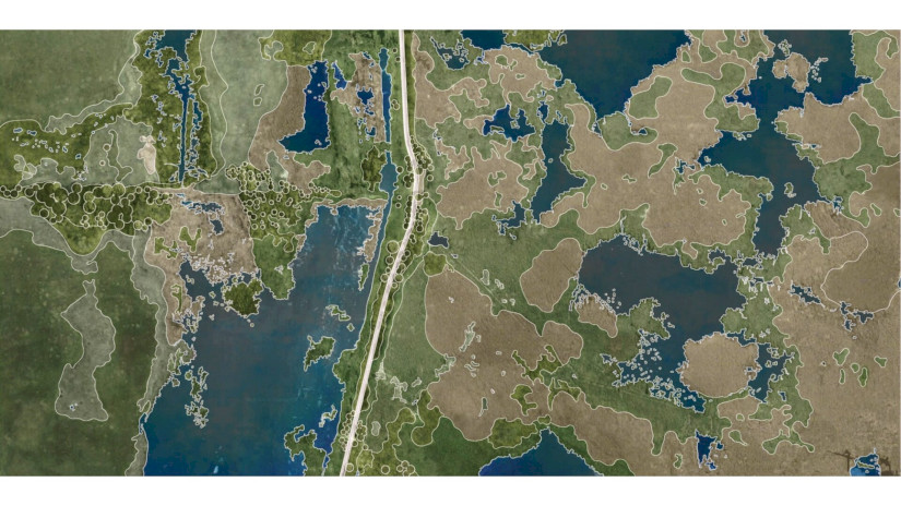 Tájmintázatok - Vegetáció belső határvonalai