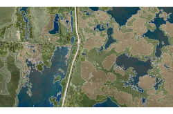 Tájmintázatok - Vegetáció belső határvonalai