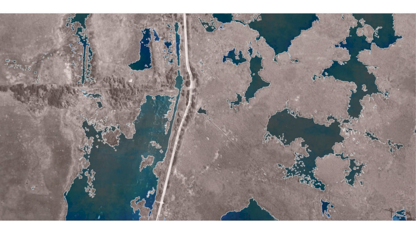 Tájmintázatok - Vegetáció és víz határvonala