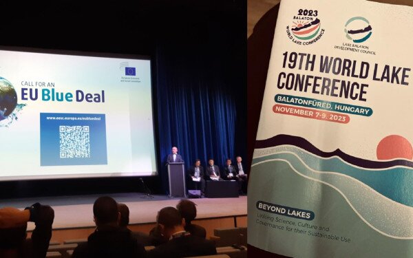 19. TAVAK VILÁGKONFERENCIÁJA