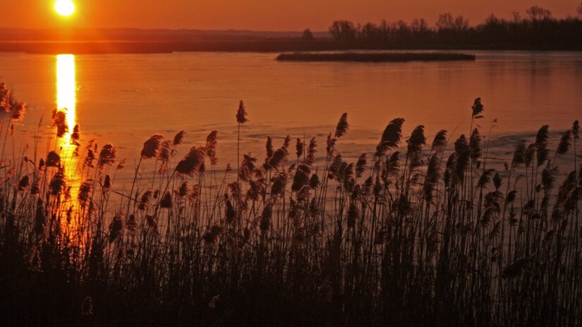 Téli hajnal a Kis-Balatonon