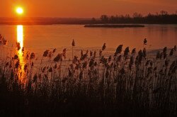 Téli hajnal a Kis-Balatonon