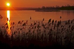 Téli hajnal a Kis-Balatonon