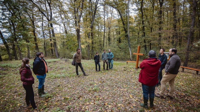 Terepszemle a pálos kolostornál