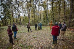 Terepszemle a pálos kolostornál