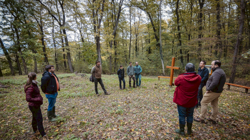 Terepszemle a pálos kolostornál
