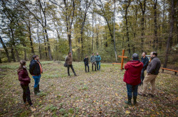 Terepszemle a pálos kolostornál