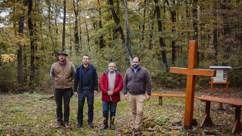 Terepszemle a pálos kolostornál