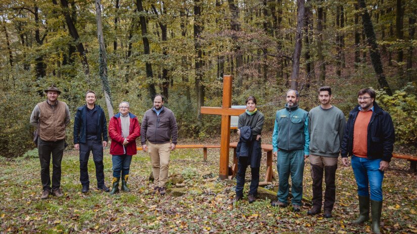 Terepszemle a pálos kolostornál