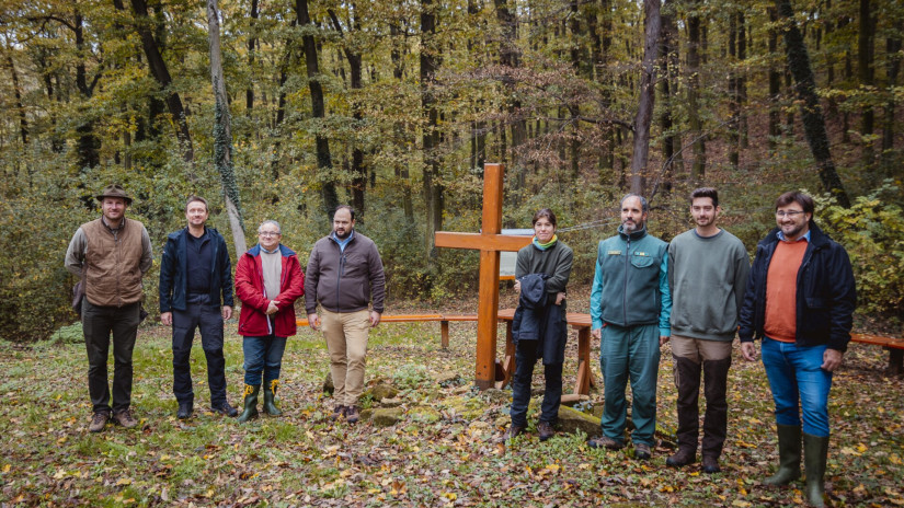 Terepszemle a pálos kolostornál
