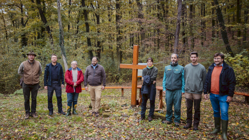 Terepszemle a pálos kolostornál