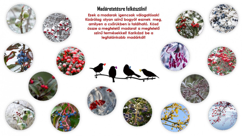 slidebg4 Természetes madáretetés - JÁTÉK