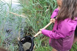 Természetiskola a Berek Világa Látogatóközpontban
