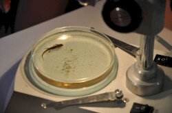 Természetiskola a Berek Világa Látogatóközpontban