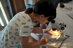 Természetiskola a Berek Világa Látogatóközpontban