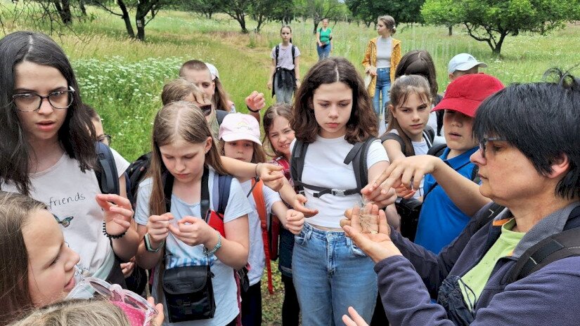 Természetiskolai foglalkozás Tihanyban (bóbitavizsgálat)