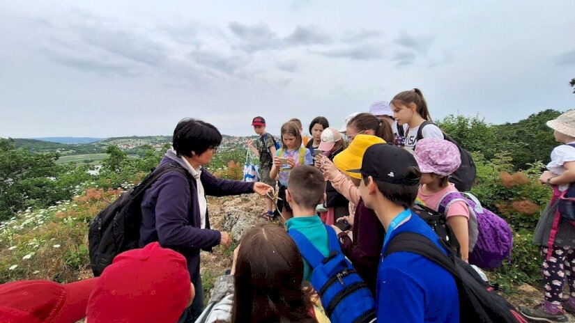 Természetiskolai túra - találkozás egy erdei siklóval